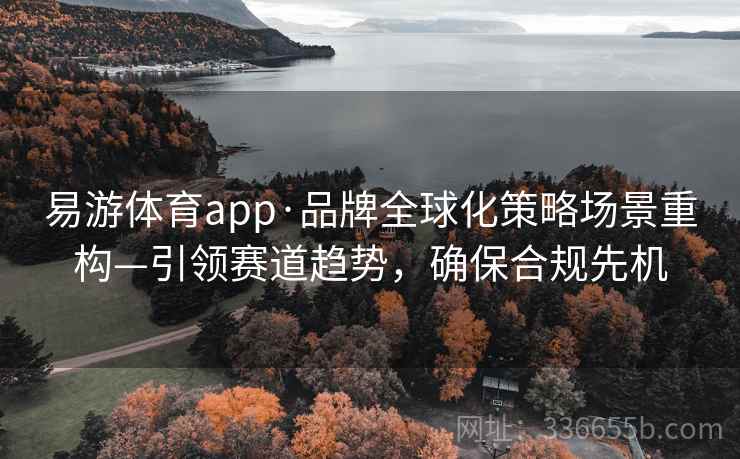 易游体育app·品牌全球化策略场景重构—引领赛道趋势，确保合规先机