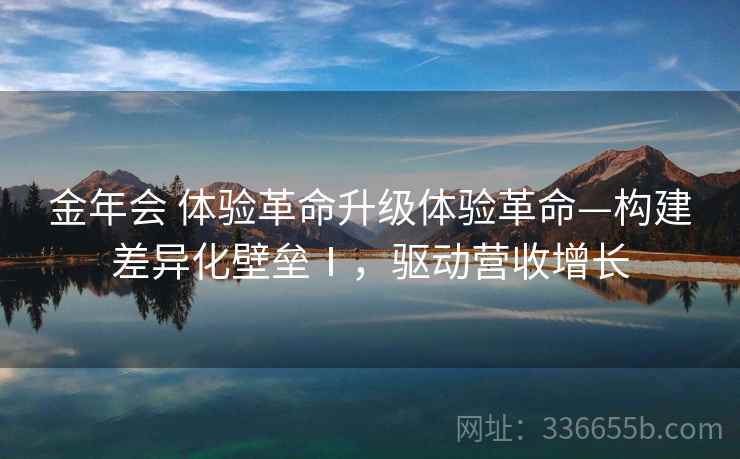 金年会 体验革命升级体验革命—构建差异化壁垒Ⅰ，驱动营收增长