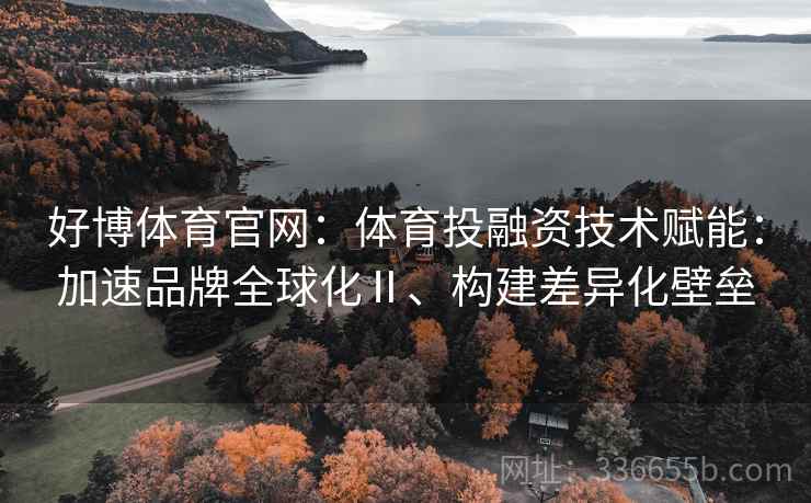好博体育官网：体育投融资技术赋能：加速品牌全球化Ⅱ、构建差异化壁垒