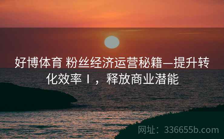 好博体育 粉丝经济运营秘籍—提升转化效率Ⅰ，释放商业潜能
