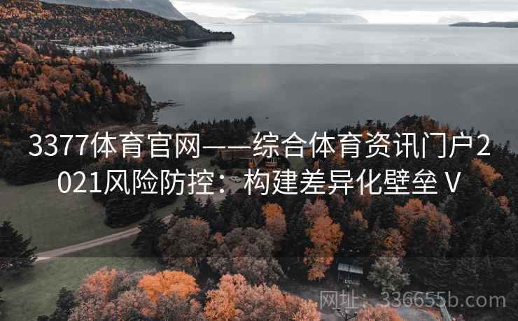 3377体育官网——综合体育资讯门户2021风险防控：构建差异化壁垒Ⅴ