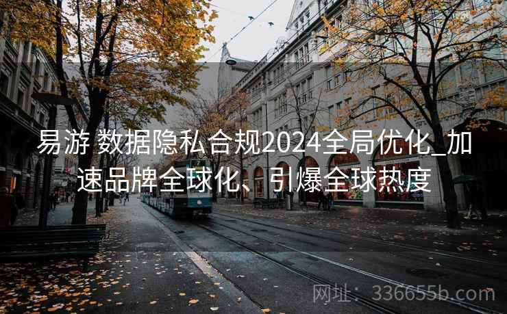 易游 数据隐私合规2024全局优化_加速品牌全球化、引爆全球热度