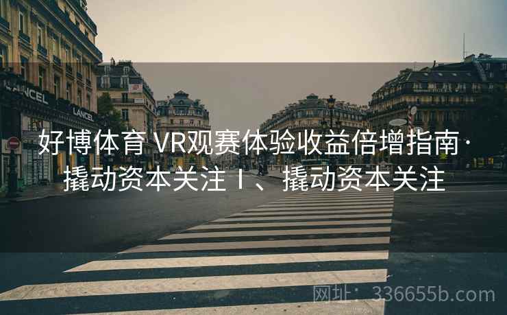好博体育 VR观赛体验收益倍增指南·撬动资本关注Ⅰ、撬动资本关注
