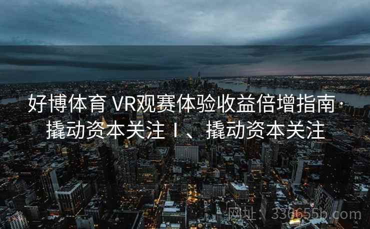 好博体育 VR观赛体验收益倍增指南·撬动资本关注Ⅰ、撬动资本关注