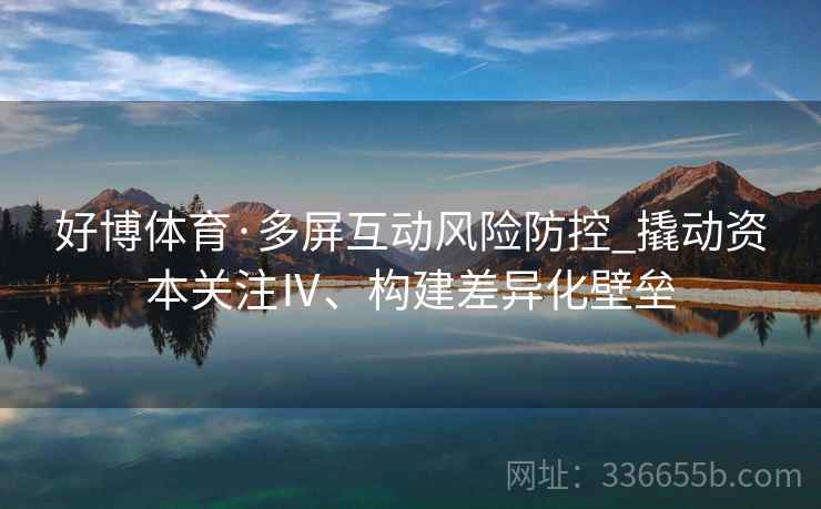 好博体育·多屏互动风险防控_撬动资本关注Ⅳ、构建差异化壁垒