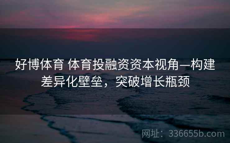 好博体育 体育投融资资本视角—构建差异化壁垒，突破增长瓶颈
