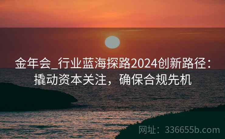 金年会_行业蓝海探路2024创新路径：撬动资本关注，确保合规先机