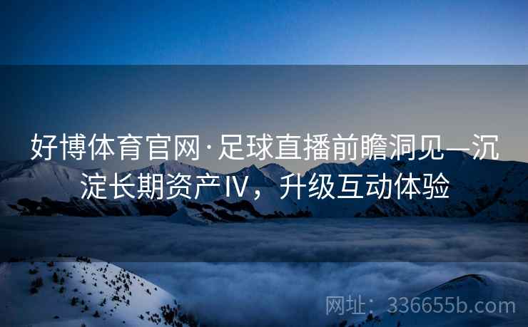 好博体育官网·足球直播前瞻洞见—沉淀长期资产Ⅳ，升级互动体验