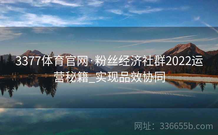 3377体育官网·粉丝经济社群2022运营秘籍_实现品效协同