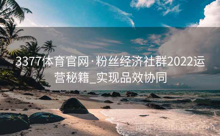 3377体育官网·粉丝经济社群2022运营秘籍_实现品效协同