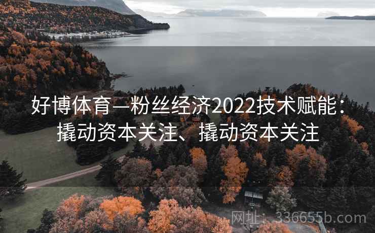 好博体育—粉丝经济2022技术赋能：撬动资本关注、撬动资本关注