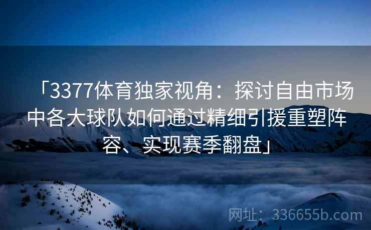 「3377体育独家视角：探讨自由市场中各大球队如何通过精细引援重塑阵容、实现赛季翻盘」