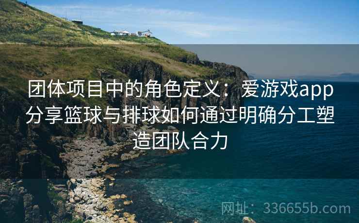 团体项目中的角色定义：爱游戏app分享篮球与排球如何通过明确分工塑造团队合力