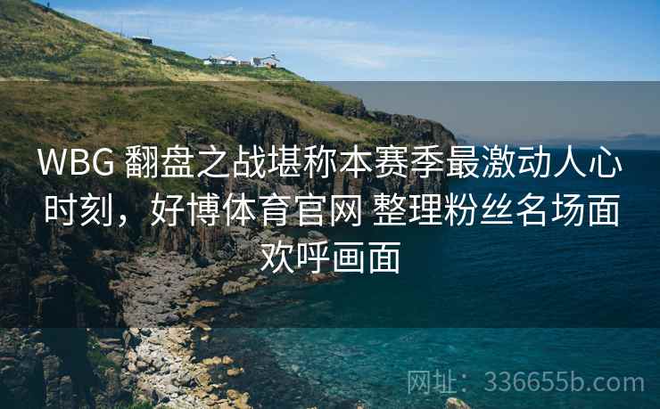 WBG 翻盘之战堪称本赛季最激动人心时刻，好博体育官网 整理粉丝名场面欢呼画面